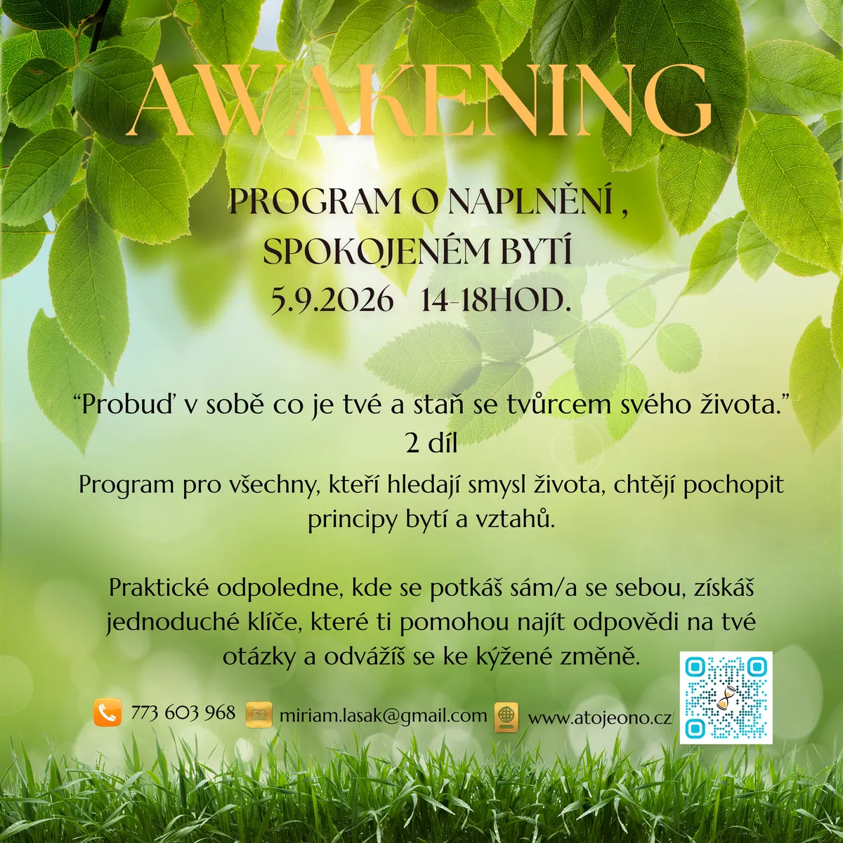 Program Awakening_05092026